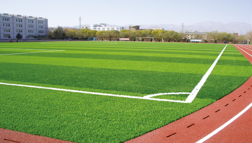 湖南拟提质改造的22个校园足球场名单出炉